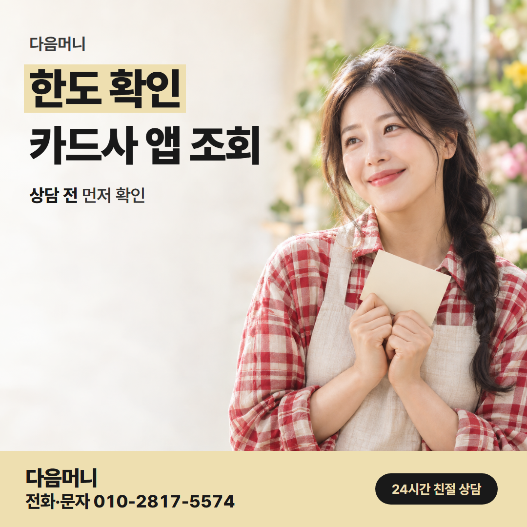 다음머니 청주카드깡 한도 확인